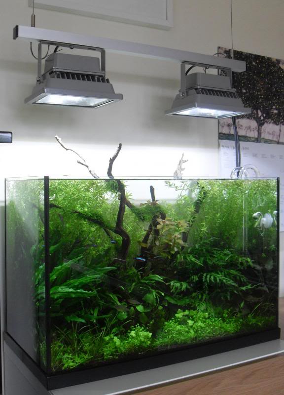 Aquariumpflanzen-Wachstum-LED-Strahler-50W-g-nstige-Aquariumbeleuchtung-HQL-HQI-Ersatz-Becken