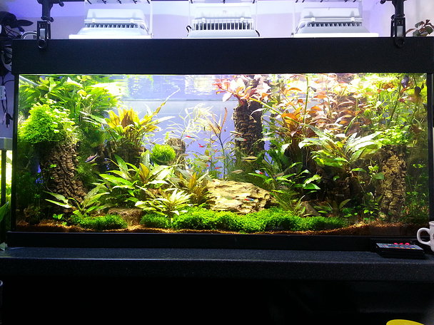 Aquariumpflanzen-Wachstum-LED-Strahler-g-nstige-Aquariumbeleuchtung-HQL-HQI-Ersatz-Becken