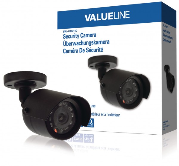 Valueline Kugel Videoüberwachungskamera 420 TVL schwarz 11 LED IP44